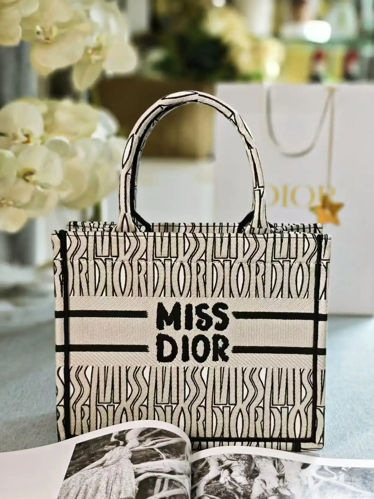 Tony Luxuries SMALL diro BOOK TOTE-26CM 0417